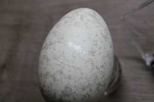 Stempel Ei Ostern